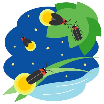 カブトムシの幼虫の育て方！ペットボトル育成方法と土マットの交換方法を紹介！