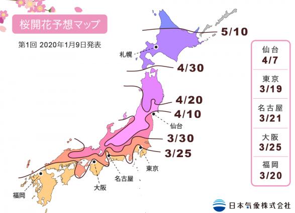 桜開花予報2020！名古屋の開花は3月21日、満開は3月30日頃【愛知県の名所を紹介】