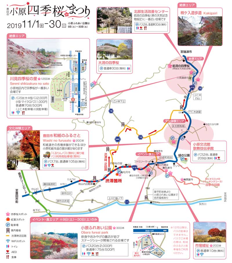 小原四季桜まつりの駐車場や渋滞 混雑情報 アクセス方法は 四季桜の見ごろを調査