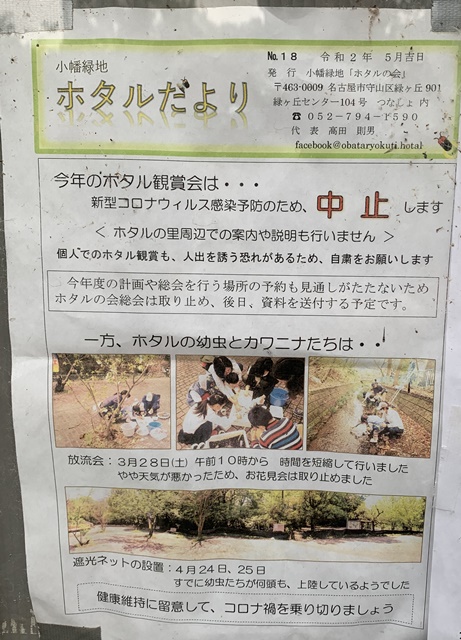 小幡緑地ホタルは中止 観察時期や時間帯に服装は 開催場所や駐車場情報を紹介