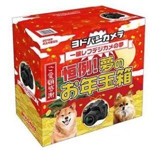 ヨドバシカメラ福袋22年 夢のお年玉箱 の予約方法や抽選確率をupする方法は 中身の値段や口コミなどネタバレ情報を紹介します