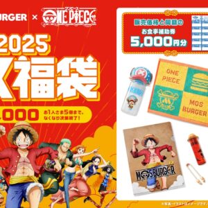 金澤翔子(書道家)のプロフや経歴と書作品を調査【情熱大陸の感想】