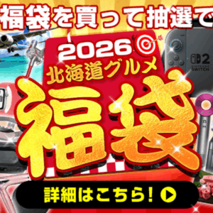 アイリスオーヤマ福袋2025 予約は楽天より12/2(月)開始？初売りセールはいつから？中身ネタバレ情報を紹介します！