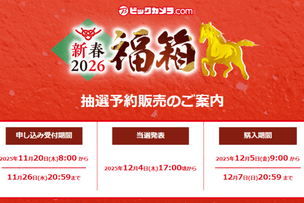 ビックカメラ2026福袋の倍率がヤバい！予約は11/19(水)開始！歴代の中身ネタバレ情報を紹介します！