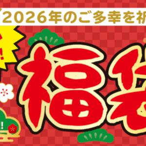 野性爆弾くっきー【情熱大陸の感想】芸術家の才能が開花し1100万円の価値を生み出した！